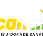 Portifólio---Tudy_0003s_0006_Objeto-Inteligente-de-Vetor